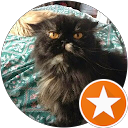 Andrei Filippov profile picture